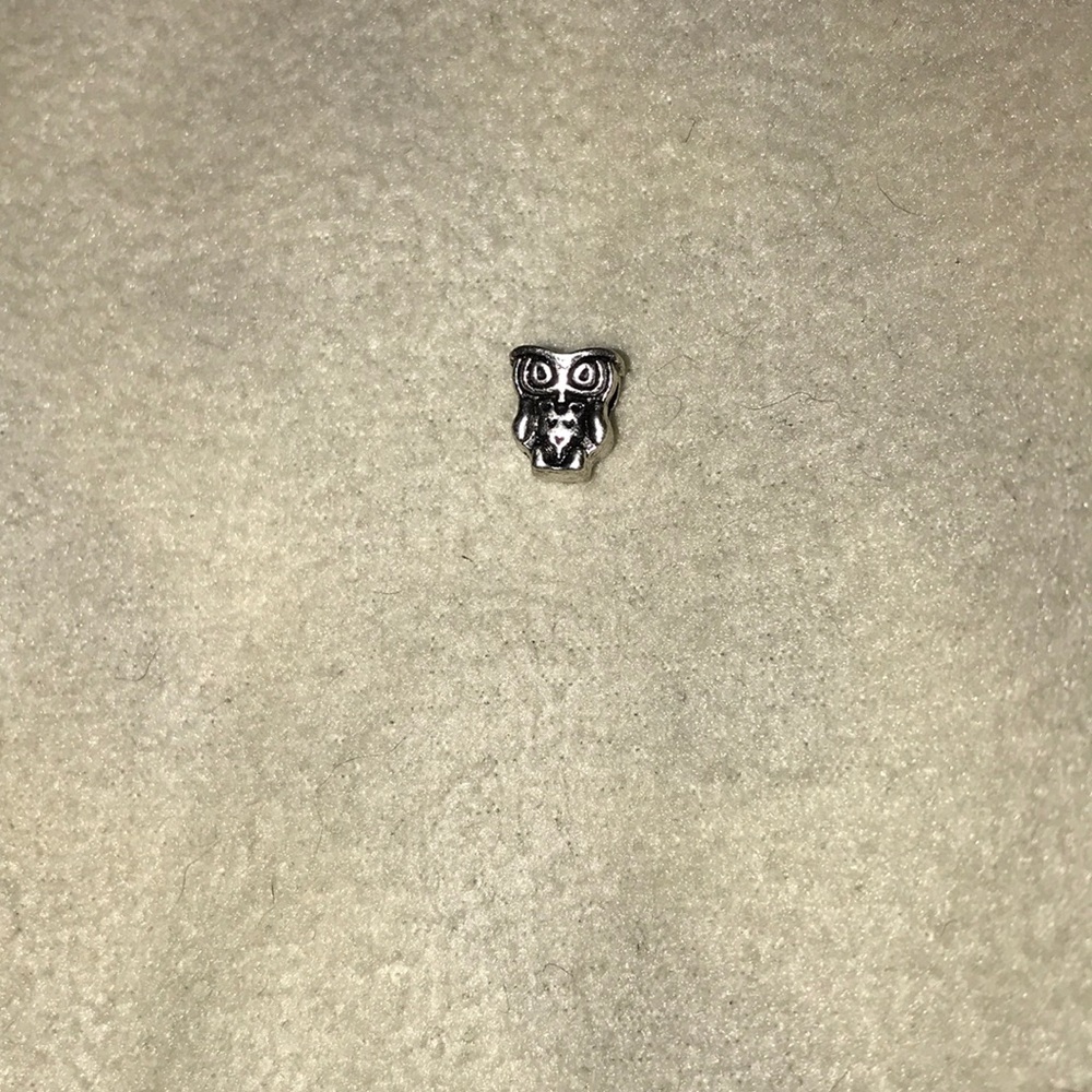 Owl charm
